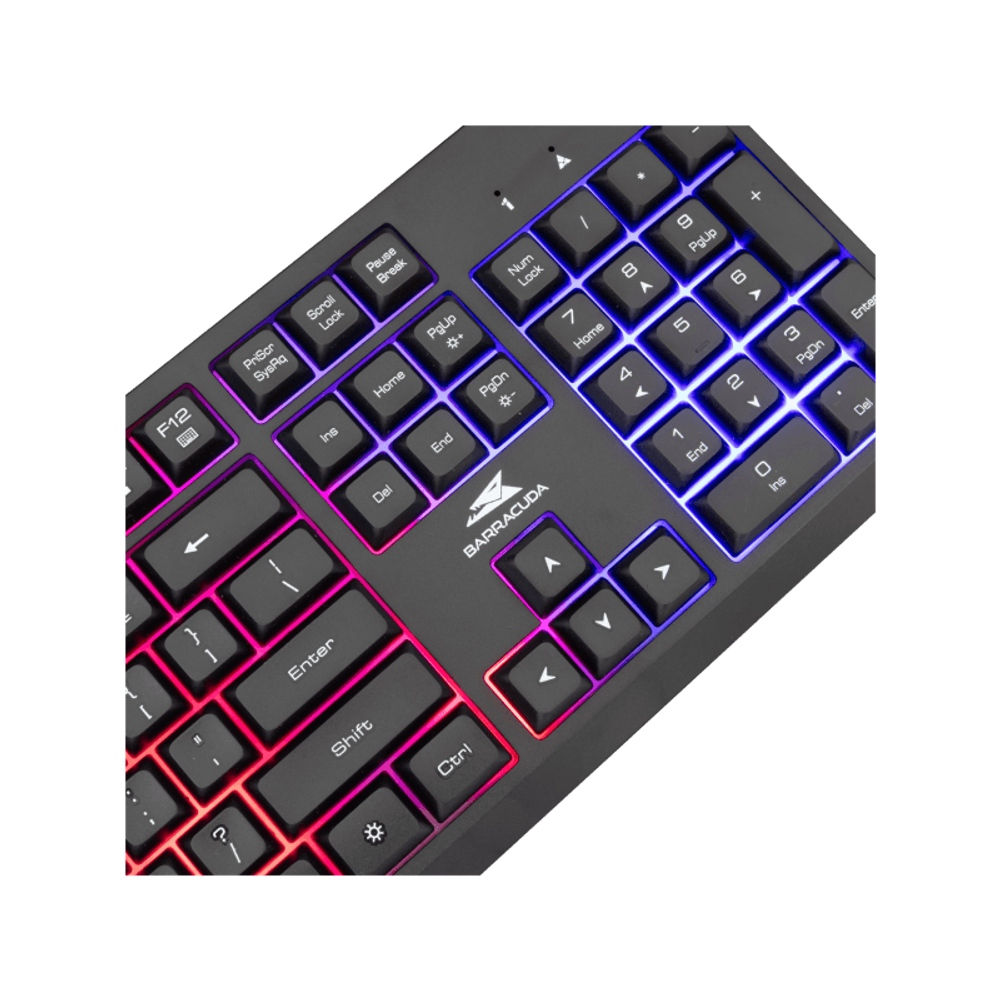 Baracuda Tastatura BGK-02114 STARFISH / US slika 3