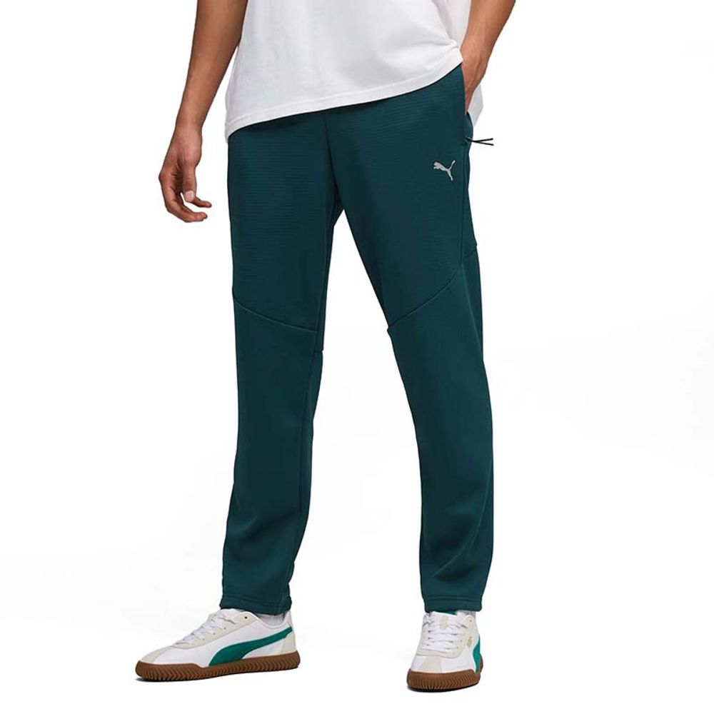 Puma Donji dio trenerke za muškarce Evostripe Warm slika 1