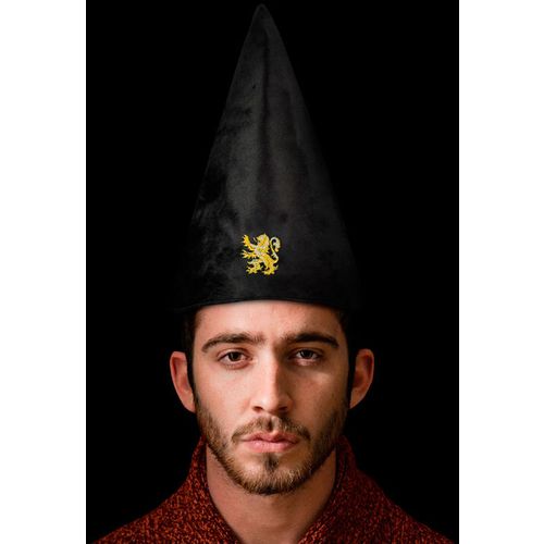 Harry Potter Gryffindor hat slika 3