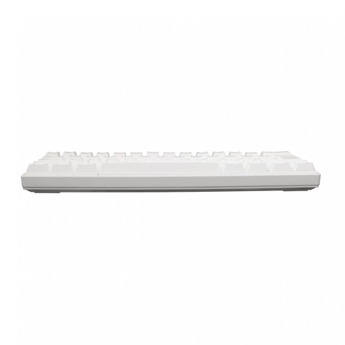 WHITE SHARK Gejmerska tastatura SHINOBI GK-2022 (Bela) slika 3