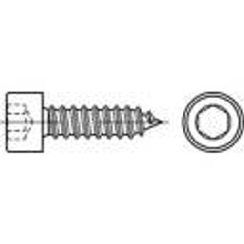 TOOLCRAFT 1067935 vijci s cilindričnom glavom za lim 4.8 mm 38 mm unutarnji šesterostrani 88312 nehrđajući čelik A2 500 St. slika 1