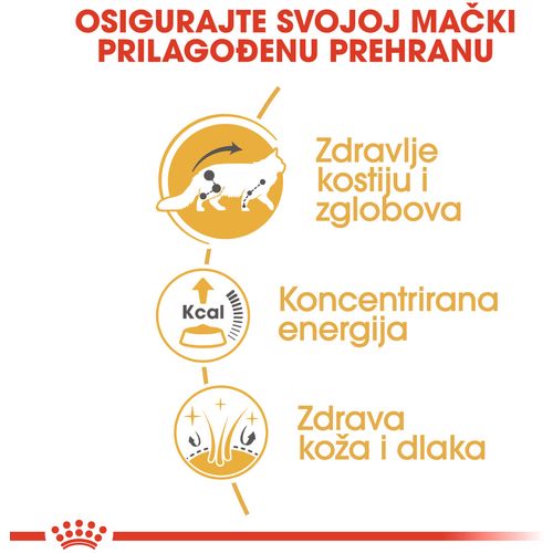 ROYAL CANIN FBN Maine Coon, potpuna i uravnotežena mokra hrana u umaku za mačke, specijalno za odrasle mačke pasmine Maine Coon starije od 15 mjeseci, 12x85 g slika 6