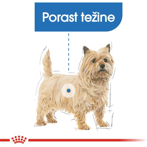 ROYAL CANIN CCN Mini Light Weight Care, potpuna hrana za pse - Za odrasle i starije pse malih pasmina (od 1 do 10 kg) - Stariji od 10 mjeseci - Psi skloni prekomjernoj tjelesnoj težini, 1 kg slika 7