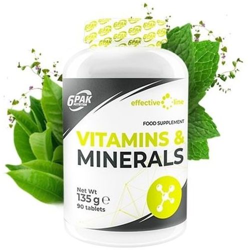 6PAK Vitamins i Minerals, 90 tableta slika 1