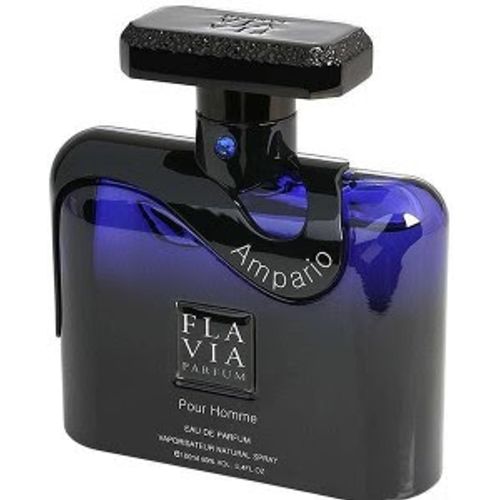 Flavia AMPARIO POUR HOMME edp 100ml slika 1