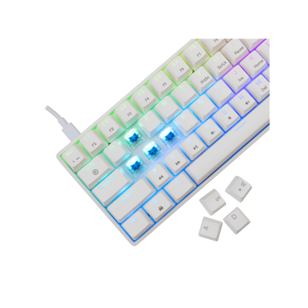 WHITE SHARK Mehanička tastatura GK-004221 SHINOBI-2 / US, plavi prekidači slika 5