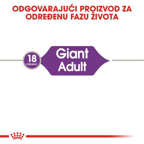 ROYAL CANIN SHN Giant Adult, potpuna hrana za odrasle pse divovskih pasmina starosti nakon 18/24 mjeseca, 15 kg slika 7