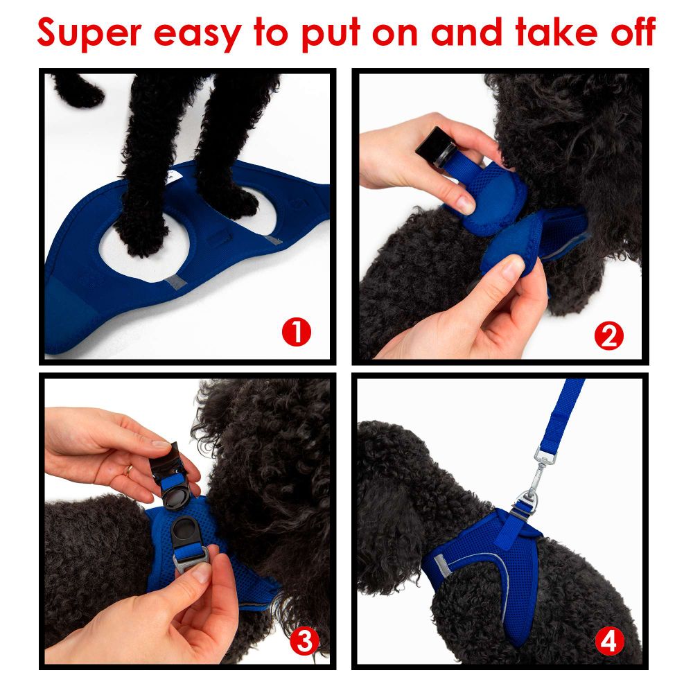 Air-Mesh - Sax Blue Sax Blue Dog Harness slika 14
