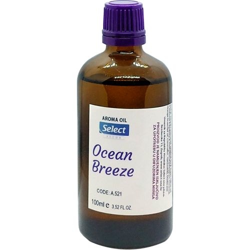 Ocean Breeze (mirisno ulje 100ml) slika 1