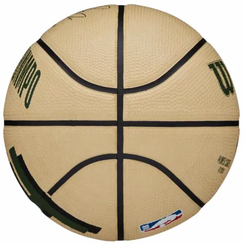 Wilson NBA Player Icon Giannis Antetokounmpo mini košarkaška lopta wz4007501xb slika 8