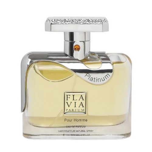 Flavia PLATINUM POUR HOMME edp 100ml slika 1