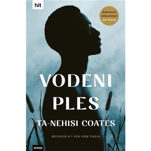 VODENI PLES, Ta-Nehisi Coates slika 1