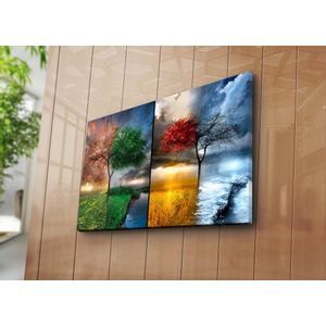 5070C-46 Multicolor Decorative Canvas Painting