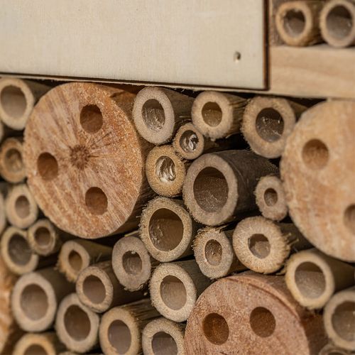 Blumfeldt Hotel za insekte sa špicastim krovom, Priroda slika 4