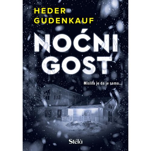 Noćni gost slika 1