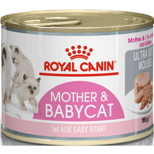ROYAL CANIN FHN Baby Cat, konzerva za mačiće do 4 mjeseca, potpuna i uravnotežena hrana za mačke, mousse, 12x195 g slika 1