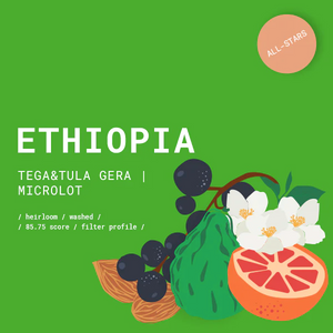 GOAT Story, Ethiopia Tega&Tula Gera Washed kava, Espresso, 500g