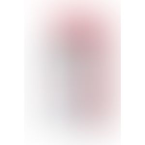 Bič Flogger 03