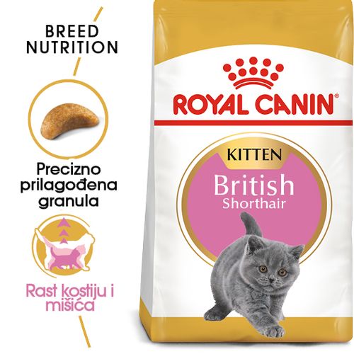 ROYAL CANIN FBN British Shorthair KITTEN, potpuna i uravnotežena hrana za mačiće, specijalno za mačiće pasmine Britanska krtkodlaka mačka u dobi do 12 mjeseci, 2 kg slika 5