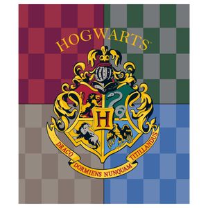 Harry Potter Hogwarts coral blanket