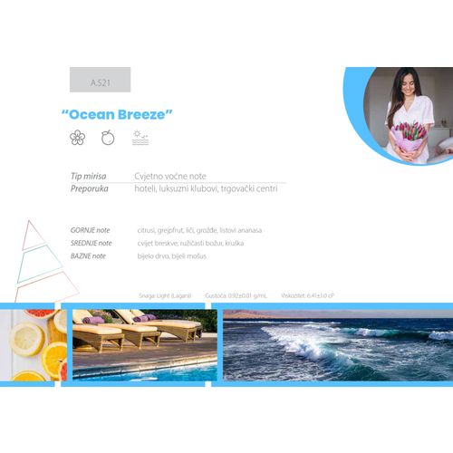 Ocean Breeze (mirisno ulje 100ml) slika 2