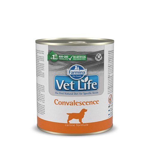 Vet Life Dog Convalescence 300 g slika 1