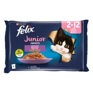 FELIX Fantastic JUNIOR Mješoviti izbor, za mačiće, mokra hrana sa piletinom u želeu i sa lososom u želeu, 4x85g