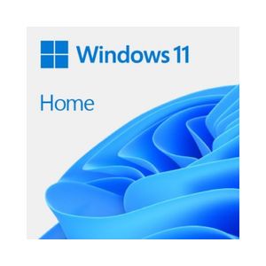 MICROSOFT Windows 11 Home FPP (HAJ-00089)