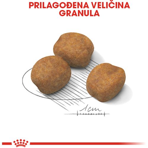 ROYAL CANIN SHN Giant PUPPY, potpuna hrana za pse, specijalno za štence divovskih pasmina (konačne težine > 45 kg)  do 8 mjeseci starosti, 3,5 kg slika 7