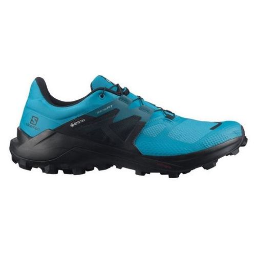 Salomon wildcross 2 GTX slika 1