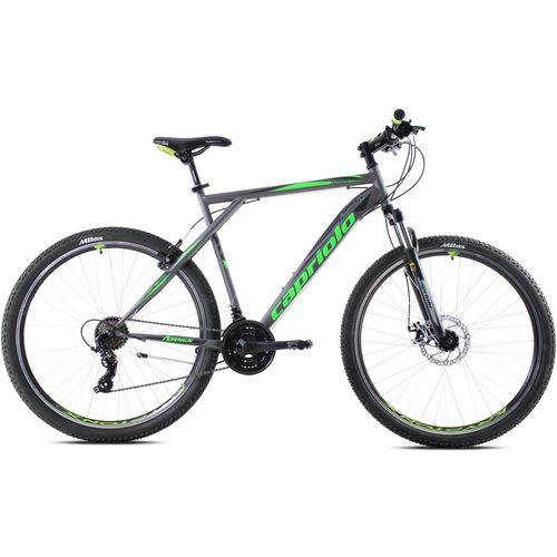 CAPRIOLO bicikl MTB ADRENALIN 29 silver green slika 1