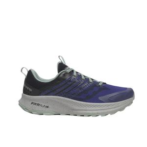 Saucony muške patike Ride TR2 GTX