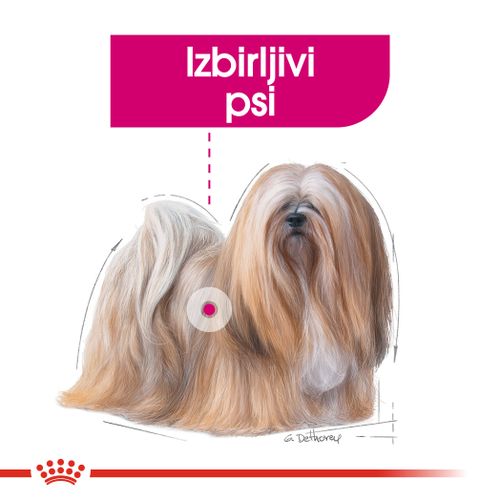 ROYAL CANIN CCN Mini Exigent, potpuna hrana za pse - Za odrasle i starije pse malih pasmina (od 1 do 10 kg) - Stariji od 10 mjeseci - Mali izbirljivi psi, 1 kg slika 5