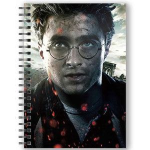 Harry Potter A5 3D bilježnica