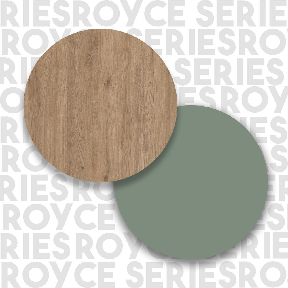 Višenamjenski ormar RE2-SY Oak Green slika 6