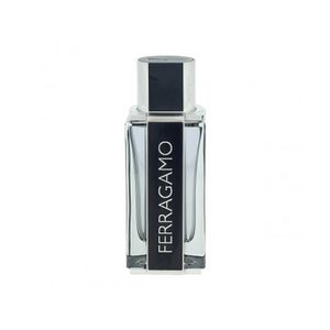 Salvatore Ferragamo Ferragamo Eau De Toilette 100 ml (man)