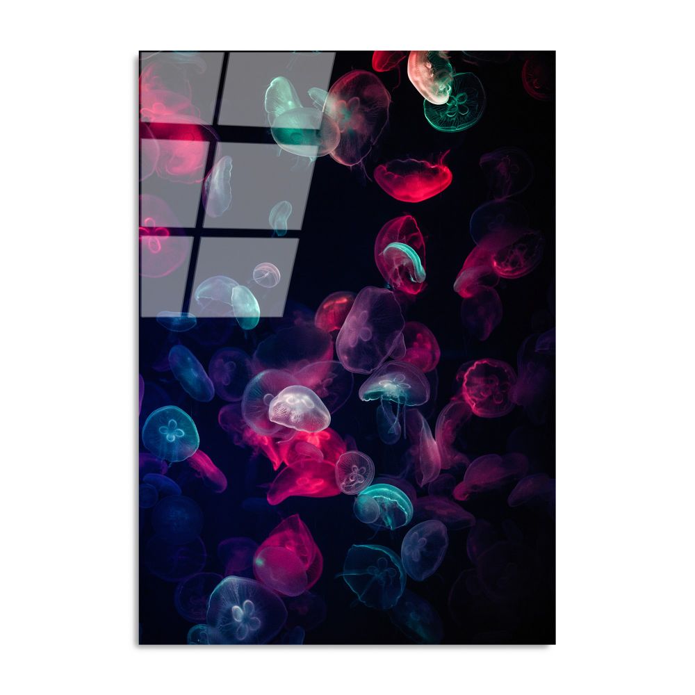 Dekorativna slika na kaljenom staklu "Meduze" (70 × 100 cm) UV-164 - izložbeni artikl (oštećenja ambalaža) slika 5