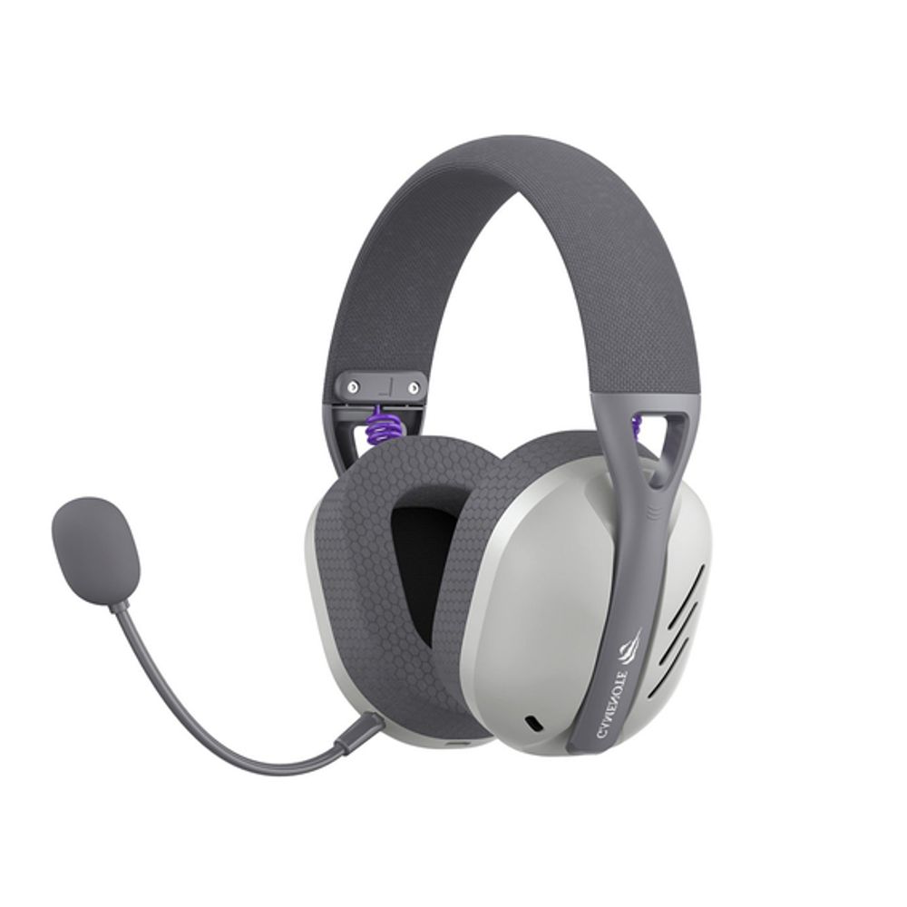 Havit gaming slušalice "Fuxi-H3" sive (WiFi + Bluetooth + 3.5 mm + USB-C) slika 1
