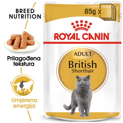 ROYAL CANIN FBN British Shorthair, potpuna i uravnotežena mokra hrana u umaku za odrasle mačke, specijalno za britanske krtkodlake mačke starije od 12 mjeseci, 12x85 g slika 6