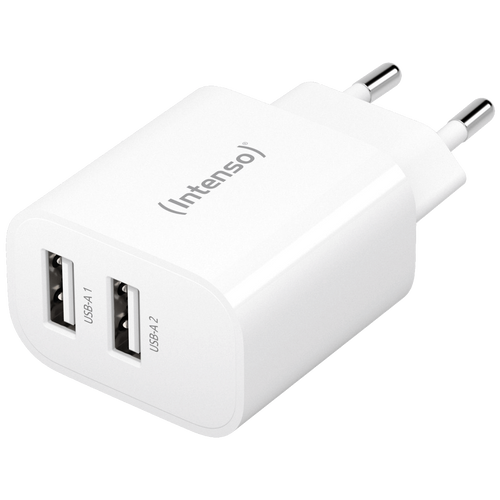 (Intenso) Punjač kućni, 2 x USB-A, 2.4A, 24W - Power Adapter W24AA slika 2