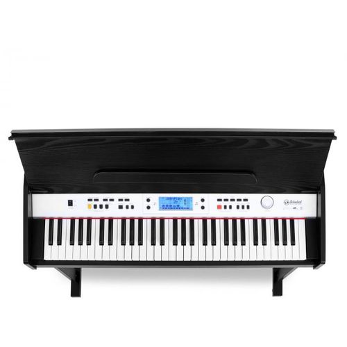 SCHUBERT Carnegy-61, električni piano s 61 tipkom slika 4