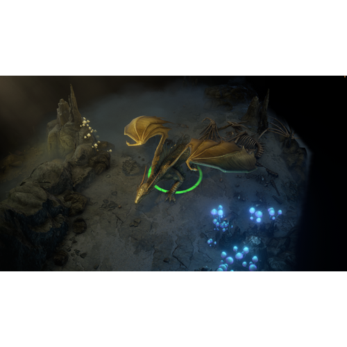 Pathfinder: Wrath of the Righteous (Xbox One) slika 15