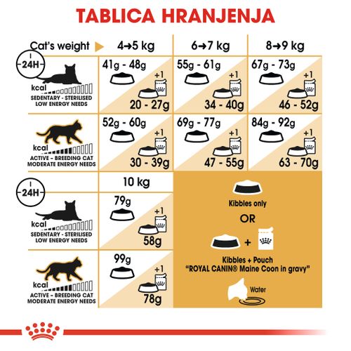 ROYAL CANIN FBN Maine Coon, potpuna i uravnotežena hrana za mačke, specijalno za odrasle mačke pasmine Maine Coon starije od 15 mjeseci, 10 kg slika 3