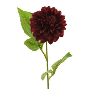 Cvet DAHLIA 50cm 13266-3 - Bordeaux - NNT