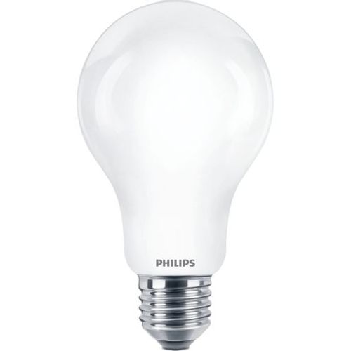 Philips led sijalica classic 150w a67 e27 cw fr nd 1srt4 , 929002372701 slika 1