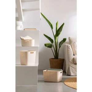 Softex Korpa za odlaganje 19L bež