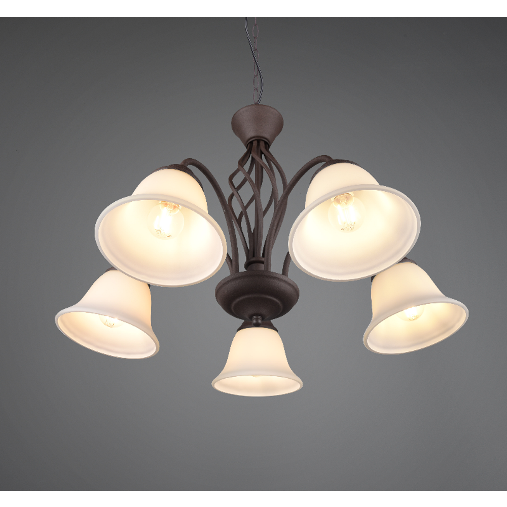 RUSTICA LUSTER 5XE14 slika 1