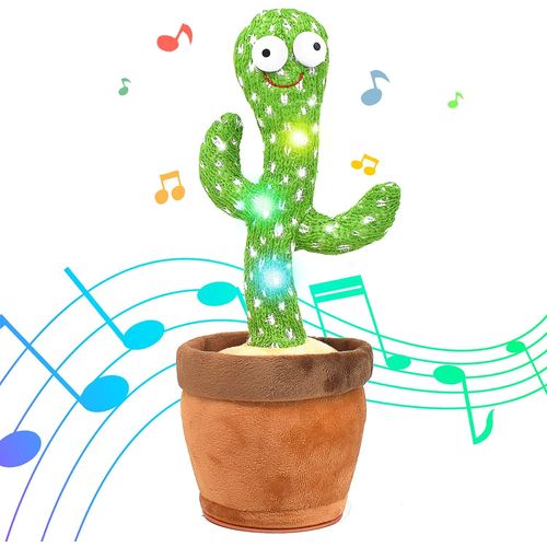 Kaktus koji pjeva slika 2