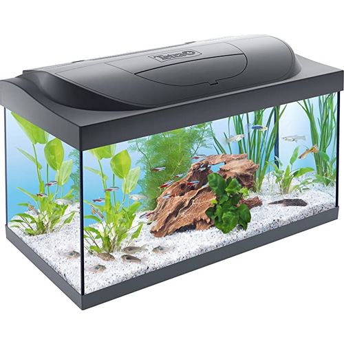 Tetra akvarijum Start Line LED Tank 54 l slika 1