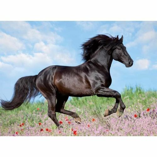 Puzzle Ravensburger 12803 Black Stallion XXL 200 Dijelovi slika 2